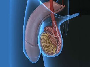 varicocele en testiculaire pijn bij opwinding
